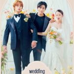 دانلود سریال Wedding Impossible